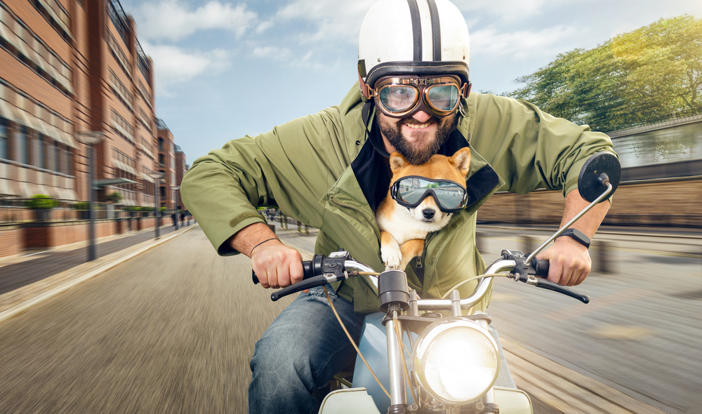 Top 10 Motorcycle Goggles for Ultimate Riding Protection